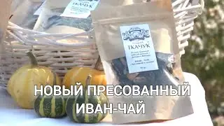 НОВОСТИ О ПРОИЗВОДСТВЕ ПРЕССОВАННОГО ИВАН-ЧАЯ В НАШЕМ ПИТОМНИКЕ НА РОССИЯ 1