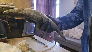 Готовлю 🧑‍🍳 Обед! Сибас И Минтай! Завонялся Холодильник! На Улице Ураган