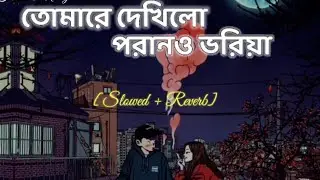 Tomare Dekhilo (Lyrics) - Habib & Nancy | Slowed + Reverb | তোমারে দেখিলো | SoundOfHeart