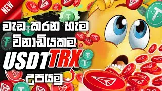 How to earn free Usdt sinhala | make money online sinhala | new Usdt website today passive income