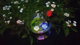 En Tea House at Teamlab Borderless - Tokyo, Japan