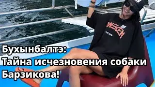 Топ-5 версий: Куда исчезла собака Ивана Барзикова - Кристина Бухынбалтэ