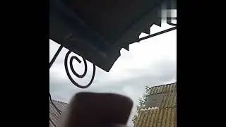 Зевс Покажи силу | Приколы От Ежика | ТикТок 