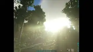 Seeing through a Maewings eyes