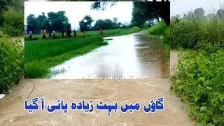 Flood in my village 😮