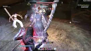 ESO - solo'ing Wayrest Sewers in 11 minutes