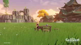 Serenitea Pot: Realm Tour - Genshin Impact