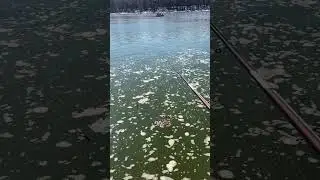 Рыба не хочет клевать