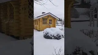 Питер накрыло снегом. 20 апреля 2024 г