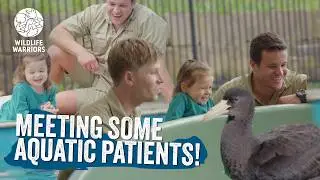 Grace visits the wildlife hospital | Wildlife Warriors Missions
