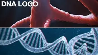 DNA Logo Medical Animation - After Effects Projects
