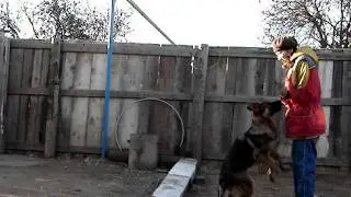 Начальная апортировка