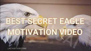BEST SECRET EAGLE MOTIVATION VIDEO IN ENGLISH