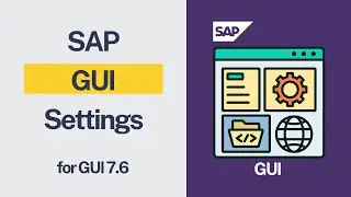 SAP GUI Setting - for GUI 7.6