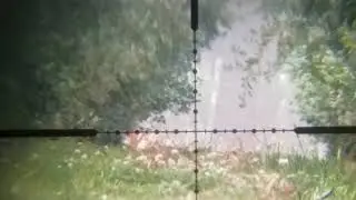 Rabbit shooting (Scope Cam)