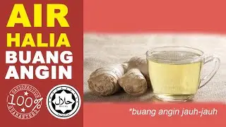 RESEPI MUDAH  DETOKS BADAN DENGAN HALIA  BERKESAN DAN MUJARAB