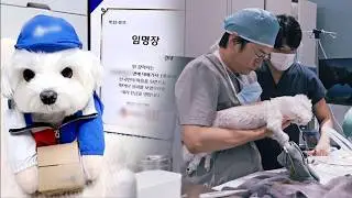 Kyungtae, raised by a deliveryman, struggles to survive - Part 2 -