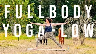 FULL BODY YOGA - 30 min Total Body Slow, Relaxing, Gentle, Beginners Hatha Yoga