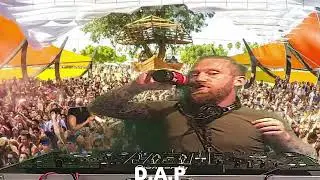 D.A.P