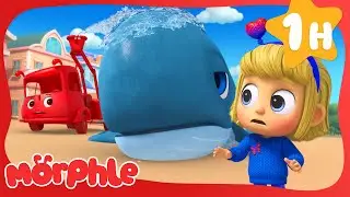 Giant Whale Rescue! 🐳 | Cartoons for Kids | Mila and Morphle
