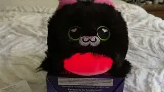 Mr. Predicto and Predicto Cat The Updated Magic 8 Ball