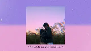 Điêu Linh - Rum x BING「Lo - Fi Version by 1 9 6 7」/ Audio Lyrics Video