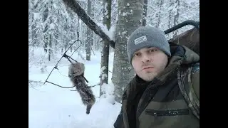 Кто-то съел соболя. Проверка путиков. Промысловая охота на соболя 2021