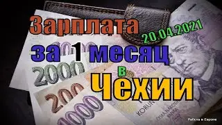 Зарплата в Чехии. Сколько я заработал в Чехии за месяц.