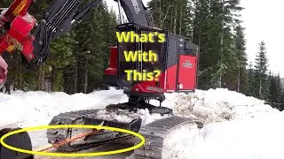 Feller Buncher Saves The Day For Lowboy Driver!