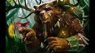Танчить друидом медведем Аукенайские Гробницы в World of Warcraft
