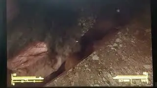 Неудачный пикник. Fallout: New Vegas.