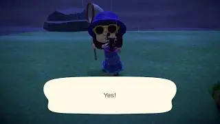 How to Catch a Scorpion in Animal Crossing New Horizons 2020