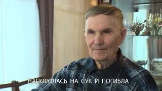 День окончания строительства и сдачи в эксплуатацию железной дороги сообщением Ижевск – Балезино