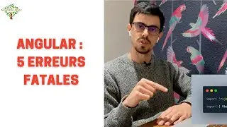 How to avoid looking like a beginner with Angular?