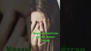 Хамма излаётган кушик