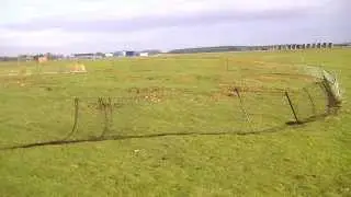 Rabbit control part 3 East anglian pest control