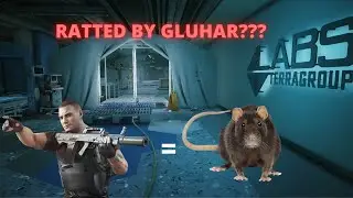 When Everybody Down so Bad, Even Gluhar is Ratting.
