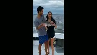 Most funniest Funny Fails 2022| Funny Fails|funny fails complication