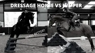 Dressage horse vs Jumping horse JUMP OFF! Who wins...