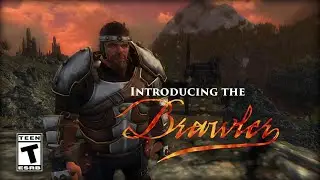 Introducing: The Brawler - The Lord of the Rings Online