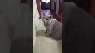 ты идиот что ли!?