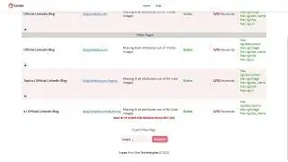 Loyae Diagnostic Tool (AI for SEO)