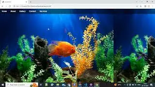 How to create Transparent navbar in HTML and CSS