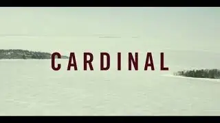 CARDINAL #сериал #детектив  #чтопосмотреть #bulbabox