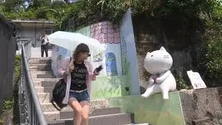 International Cat Day: Cool cats from Istanbul to Taiwan