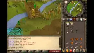 Runescape 2007 Tree Gnome Village Quest Guide