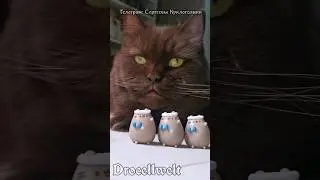 киндер сюрприз для Кота #асмр #shorts