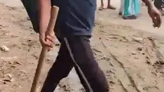 कुत्ते ने किया अपने ही बचौं का अंतिमसंस्कार😭