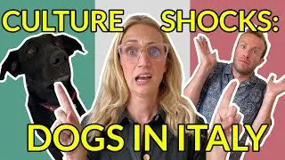 CULTURE SHOCKS OF HAVING A DOG IN ITALY