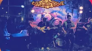 Mutant Fusion Collective LIVE at Dunedin Brewery 6/29/24
